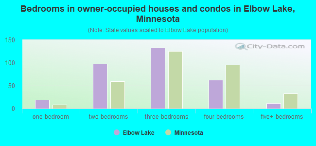 Bedrooms in owner-occupied houses and condos in Elbow Lake, Minnesota
