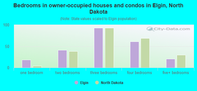Bedrooms in owner-occupied houses and condos in Elgin, North Dakota