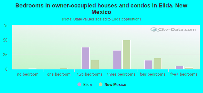 Bedrooms in owner-occupied houses and condos in Elida, New Mexico