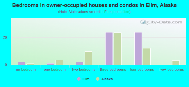 Bedrooms in owner-occupied houses and condos in Elim, Alaska