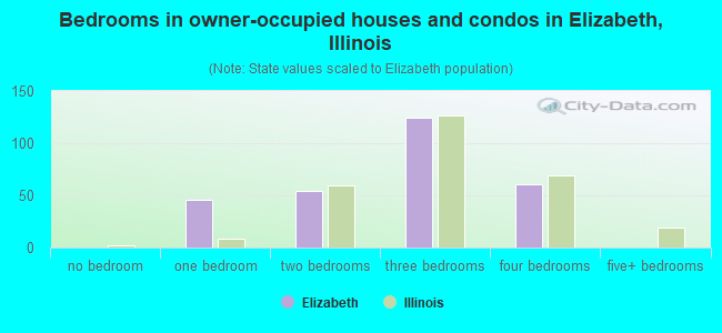 Bedrooms in owner-occupied houses and condos in Elizabeth, Illinois