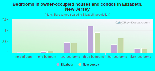 Bedrooms in owner-occupied houses and condos in Elizabeth, New Jersey