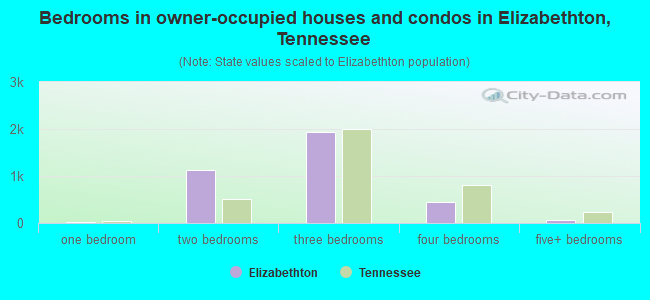 Bedrooms in owner-occupied houses and condos in Elizabethton, Tennessee