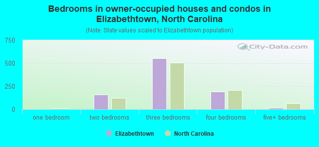 Bedrooms in owner-occupied houses and condos in Elizabethtown, North Carolina