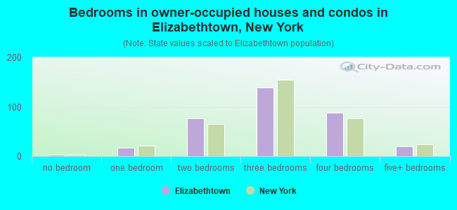 Bedrooms in owner-occupied houses and condos in Elizabethtown, New York