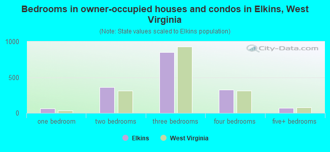 Bedrooms in owner-occupied houses and condos in Elkins, West Virginia