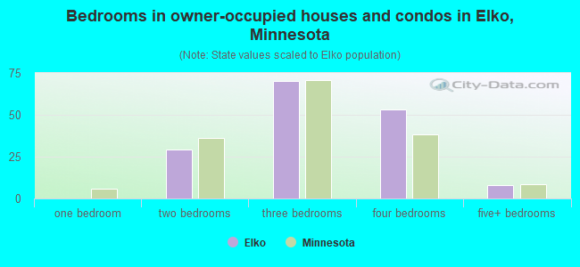 Bedrooms in owner-occupied houses and condos in Elko, Minnesota