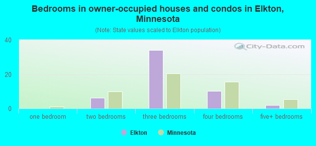 Bedrooms in owner-occupied houses and condos in Elkton, Minnesota