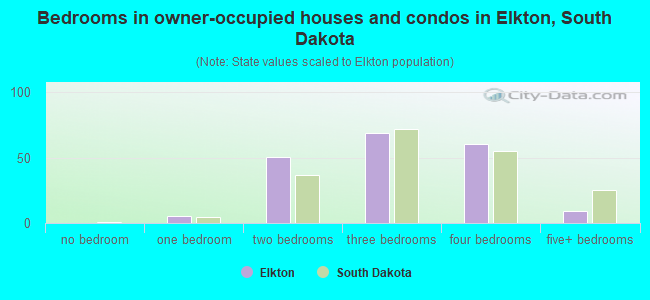 Bedrooms in owner-occupied houses and condos in Elkton, South Dakota