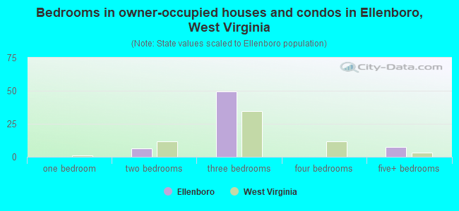 Bedrooms in owner-occupied houses and condos in Ellenboro, West Virginia