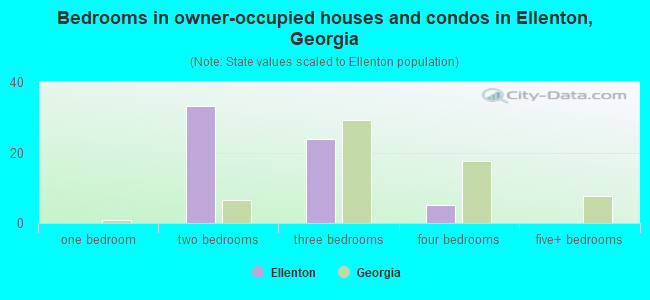 Bedrooms in owner-occupied houses and condos in Ellenton, Georgia