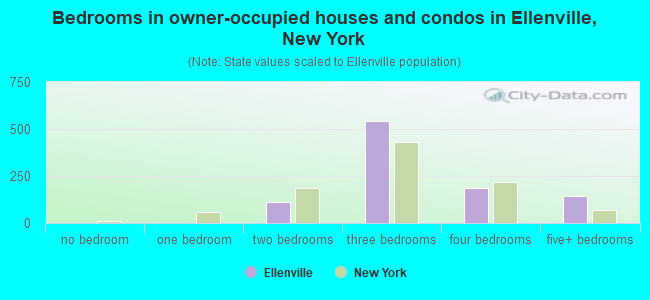 Bedrooms in owner-occupied houses and condos in Ellenville, New York