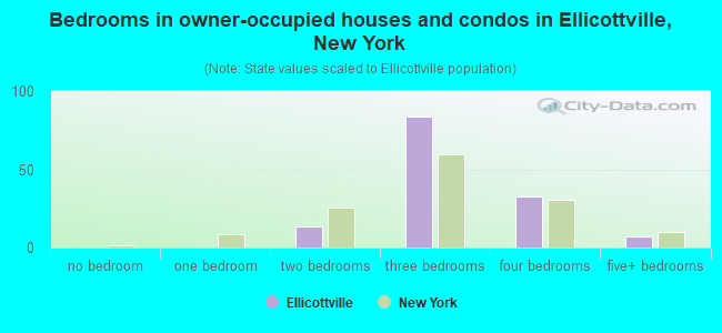 Bedrooms in owner-occupied houses and condos in Ellicottville, New York