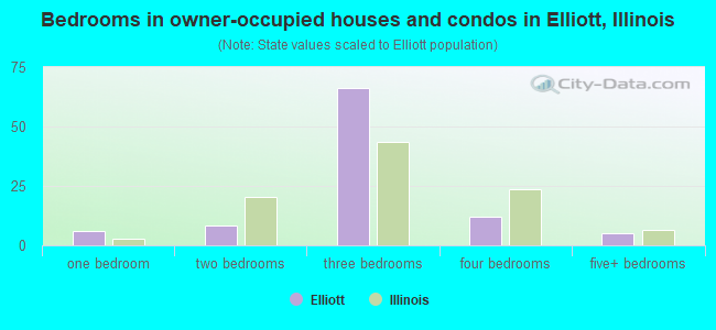 Bedrooms in owner-occupied houses and condos in Elliott, Illinois