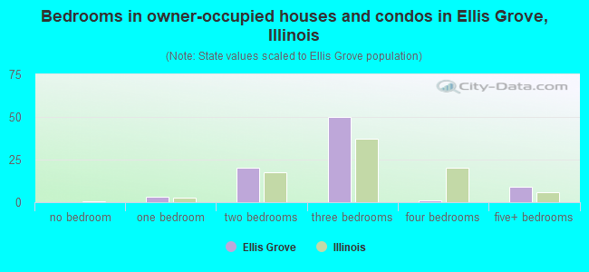 Bedrooms in owner-occupied houses and condos in Ellis Grove, Illinois