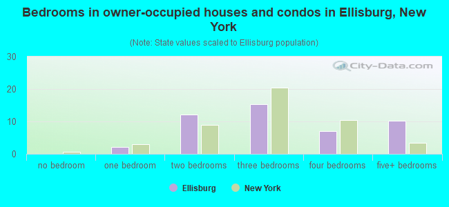 Bedrooms in owner-occupied houses and condos in Ellisburg, New York