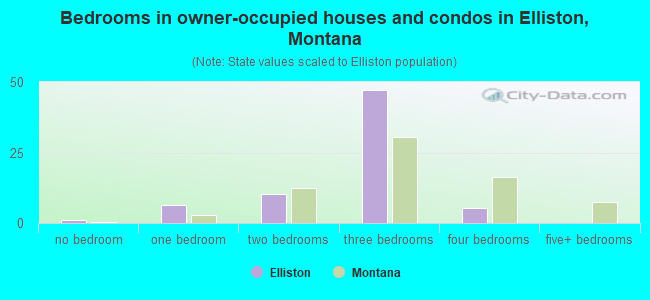 Bedrooms in owner-occupied houses and condos in Elliston, Montana
