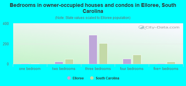 Bedrooms in owner-occupied houses and condos in Elloree, South Carolina