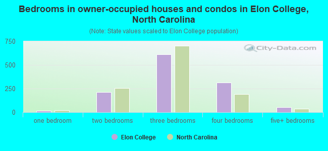 Bedrooms in owner-occupied houses and condos in Elon College, North Carolina