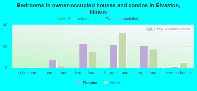 Bedrooms in owner-occupied houses and condos in Elvaston, Illinois