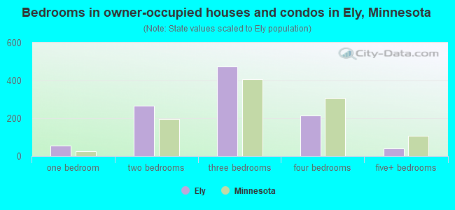 Bedrooms in owner-occupied houses and condos in Ely, Minnesota