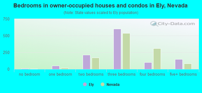 Bedrooms in owner-occupied houses and condos in Ely, Nevada