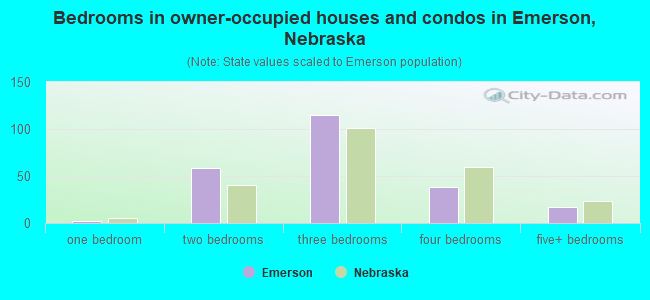 Bedrooms in owner-occupied houses and condos in Emerson, Nebraska