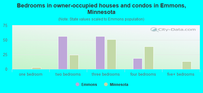 Bedrooms in owner-occupied houses and condos in Emmons, Minnesota