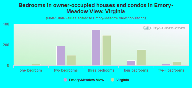 Bedrooms in owner-occupied houses and condos in Emory-Meadow View, Virginia
