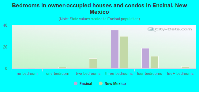 Bedrooms in owner-occupied houses and condos in Encinal, New Mexico