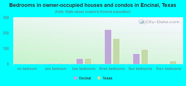 Bedrooms in owner-occupied houses and condos in Encinal, Texas