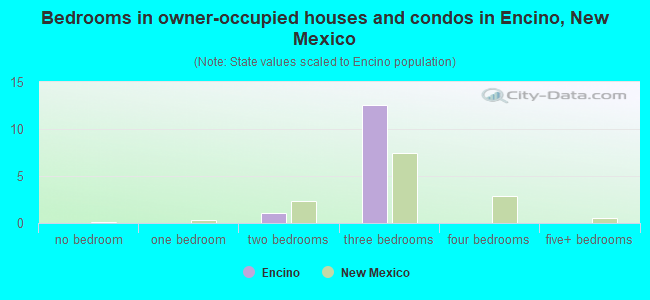 Bedrooms in owner-occupied houses and condos in Encino, New Mexico