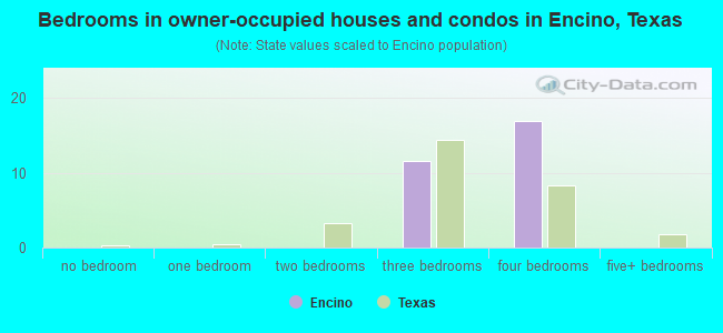 Bedrooms in owner-occupied houses and condos in Encino, Texas