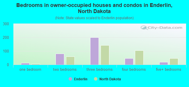 Bedrooms in owner-occupied houses and condos in Enderlin, North Dakota