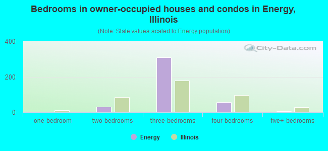 Bedrooms in owner-occupied houses and condos in Energy, Illinois