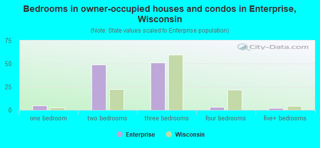 Bedrooms in owner-occupied houses and condos in Enterprise, Wisconsin