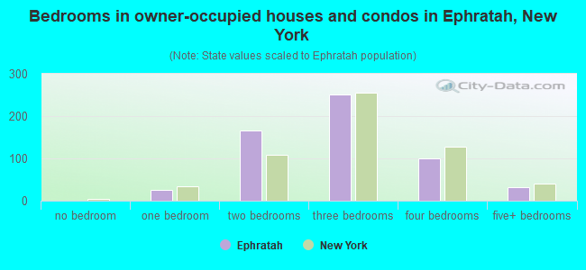 Bedrooms in owner-occupied houses and condos in Ephratah, New York
