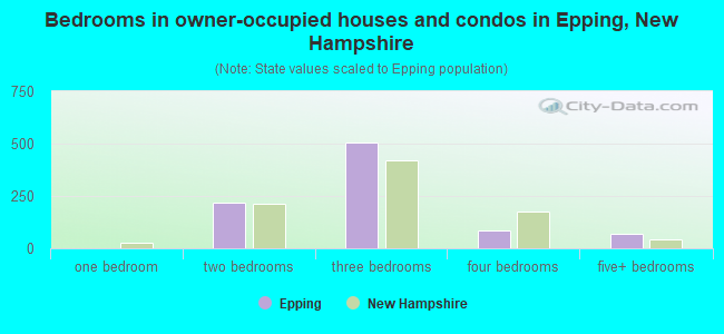 Bedrooms in owner-occupied houses and condos in Epping, New Hampshire