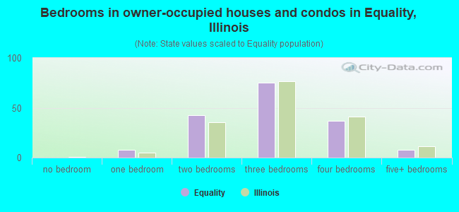 Bedrooms in owner-occupied houses and condos in Equality, Illinois