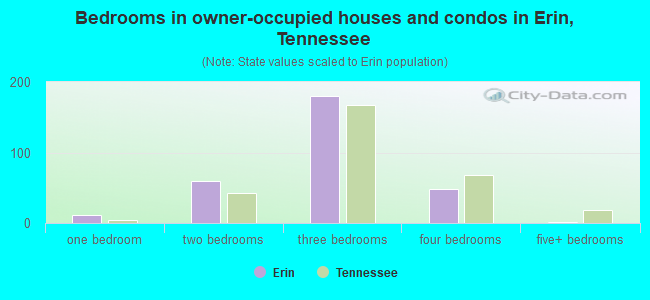 Bedrooms in owner-occupied houses and condos in Erin, Tennessee