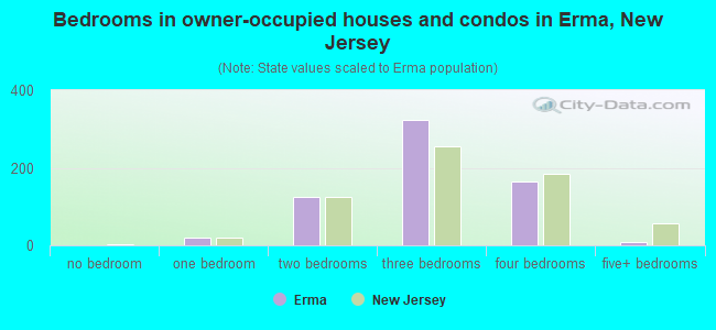 Bedrooms in owner-occupied houses and condos in Erma, New Jersey