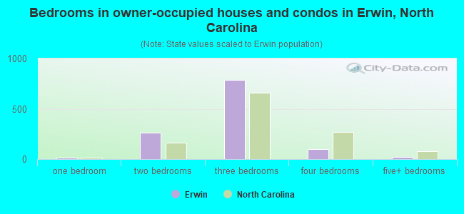 Bedrooms in owner-occupied houses and condos in Erwin, North Carolina