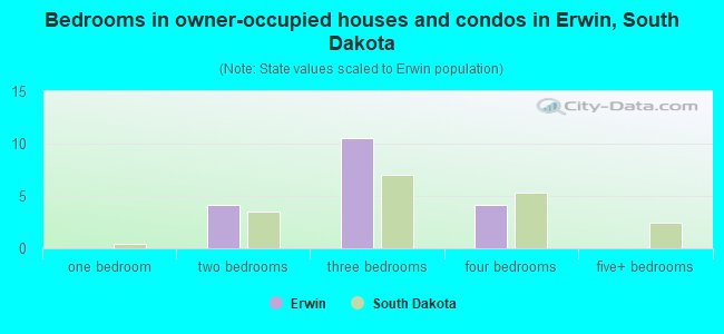 Bedrooms in owner-occupied houses and condos in Erwin, South Dakota