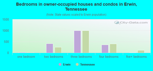 Bedrooms in owner-occupied houses and condos in Erwin, Tennessee