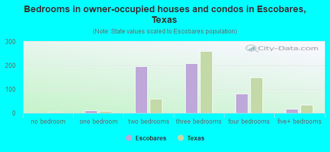 Bedrooms in owner-occupied houses and condos in Escobares, Texas
