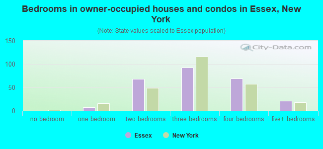 Bedrooms in owner-occupied houses and condos in Essex, New York