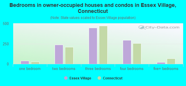 Bedrooms in owner-occupied houses and condos in Essex Village, Connecticut