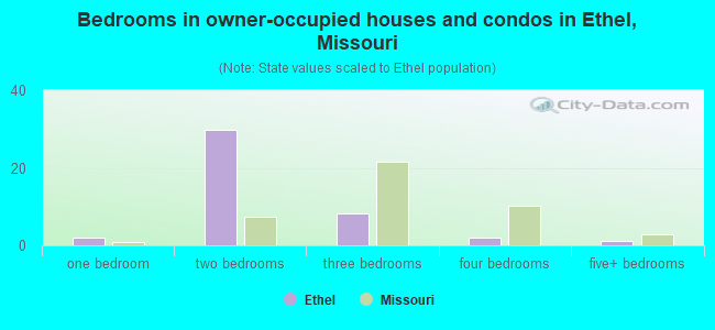Bedrooms in owner-occupied houses and condos in Ethel, Missouri