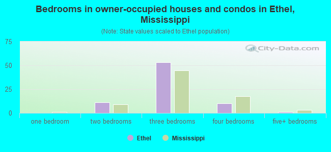 Bedrooms in owner-occupied houses and condos in Ethel, Mississippi