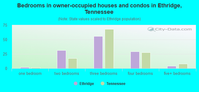 Bedrooms in owner-occupied houses and condos in Ethridge, Tennessee